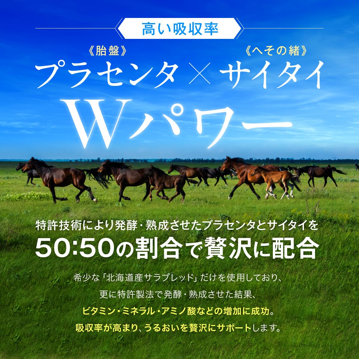Amazon | KARADA BIKEN 北海道産サラブレッド 発酵熟成スーパー