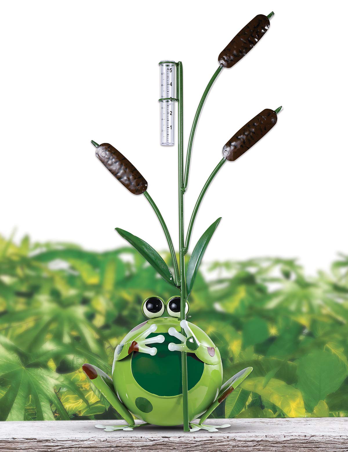 Amazon.com : Sunset Vista Designs Large Happy Frog Rain Gauge