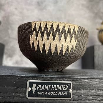 7☆PLANT HUNTER 手作り黒植木鉢2点