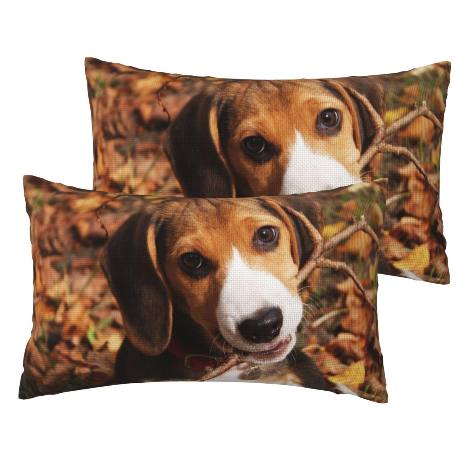 Taies d'oreiller imitation lin imprimé beagle : lot de 2 housses de coussin de canapé