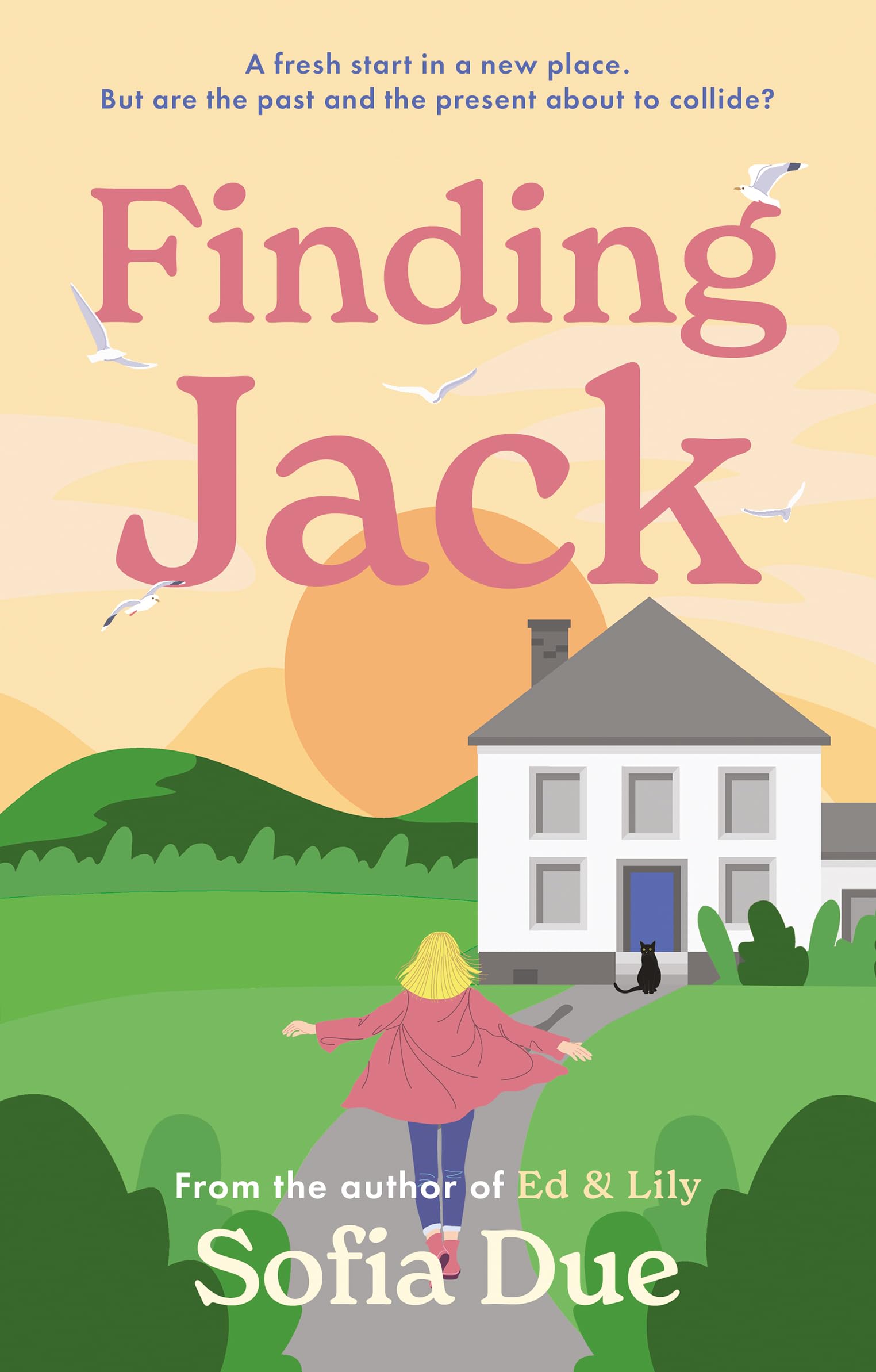 Finding Jack by Sofia Due - 9781915853172
