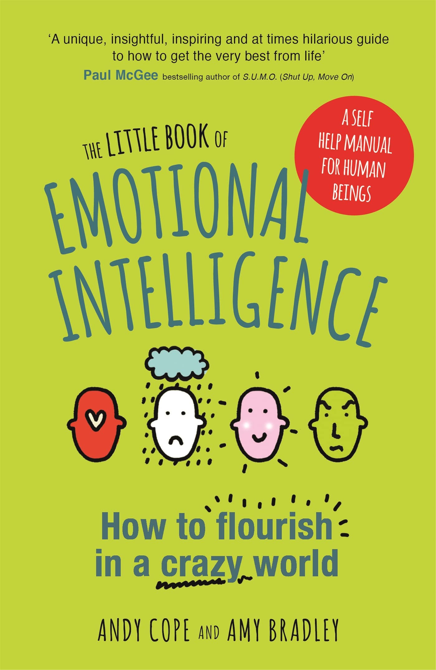 THE LITTLE BOOK OF EMOTIONAL INTELLIGENCE: HOW TO FLOURISH IN A CRAZY WORLD Paperback – 8 March 2018