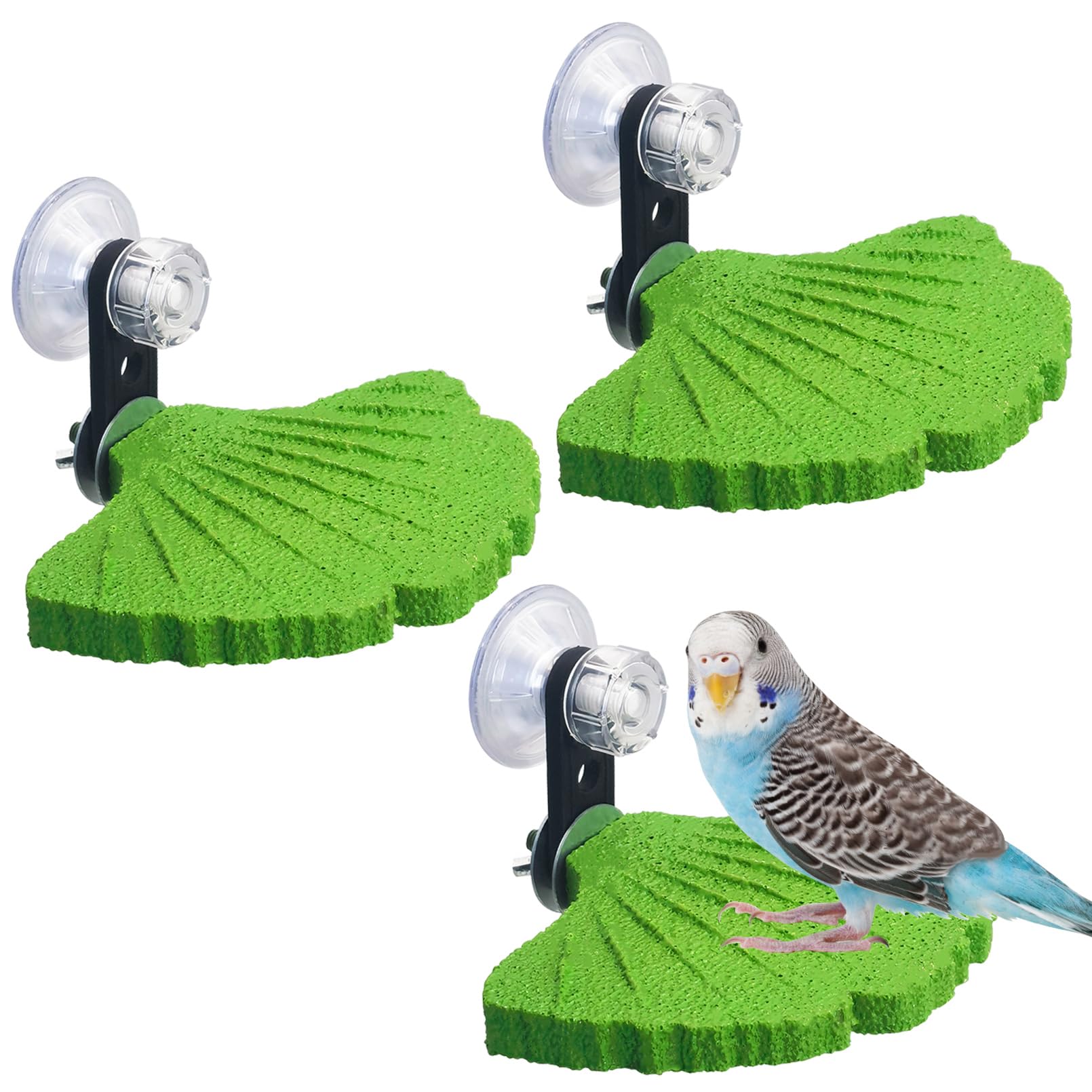 Photo 1 of Apatal Bird Perch with Suction Cups - Green