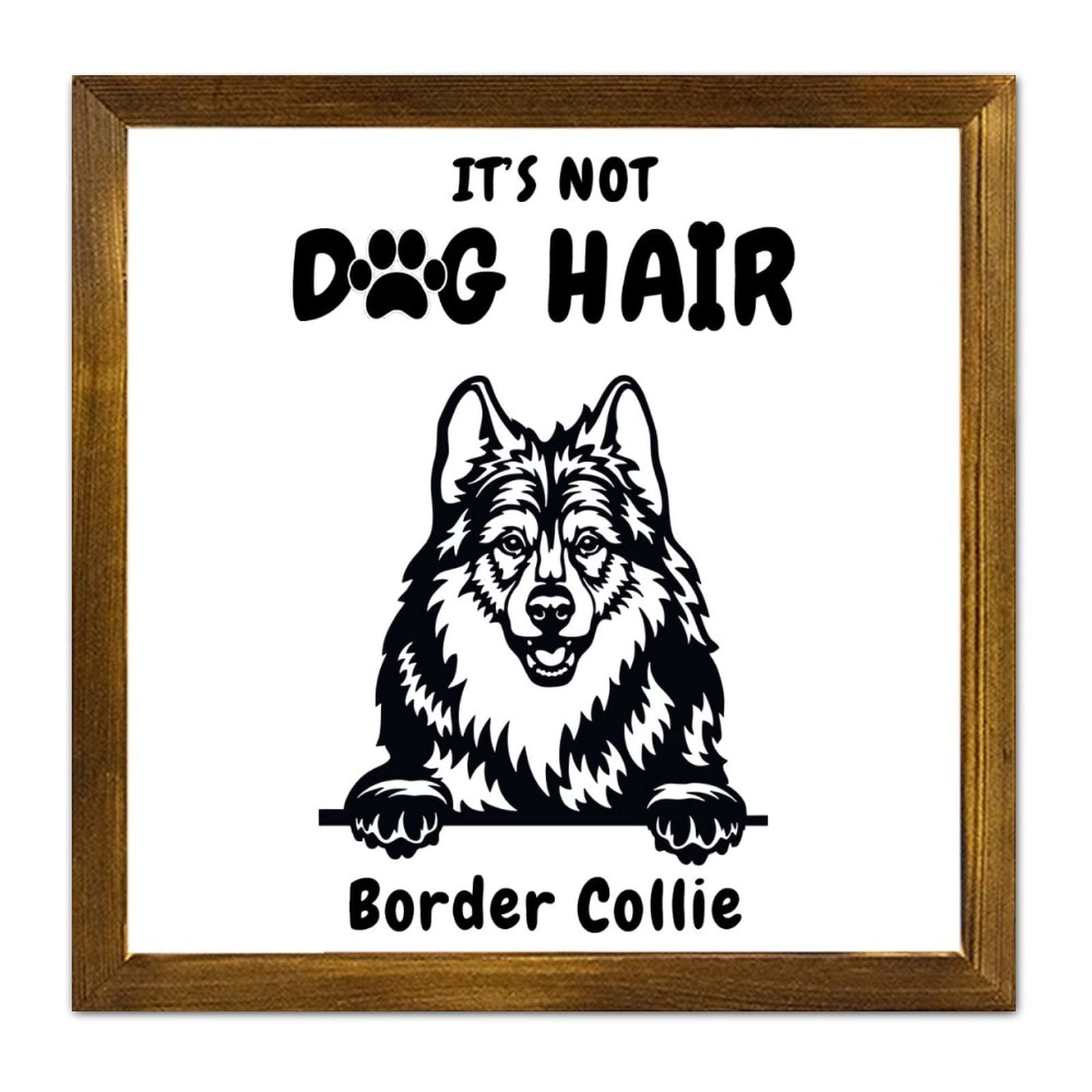 Poils Border Collie solution decoration panneau bois cadre moderne 30cm