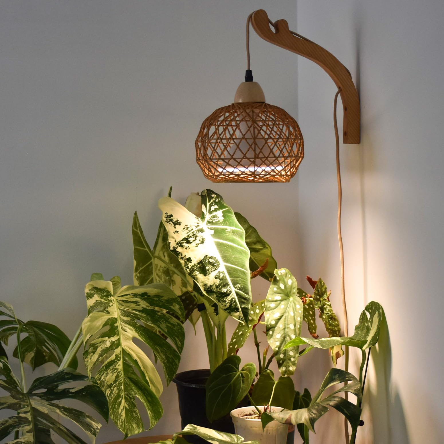 Bstrip Hanging Grow Light