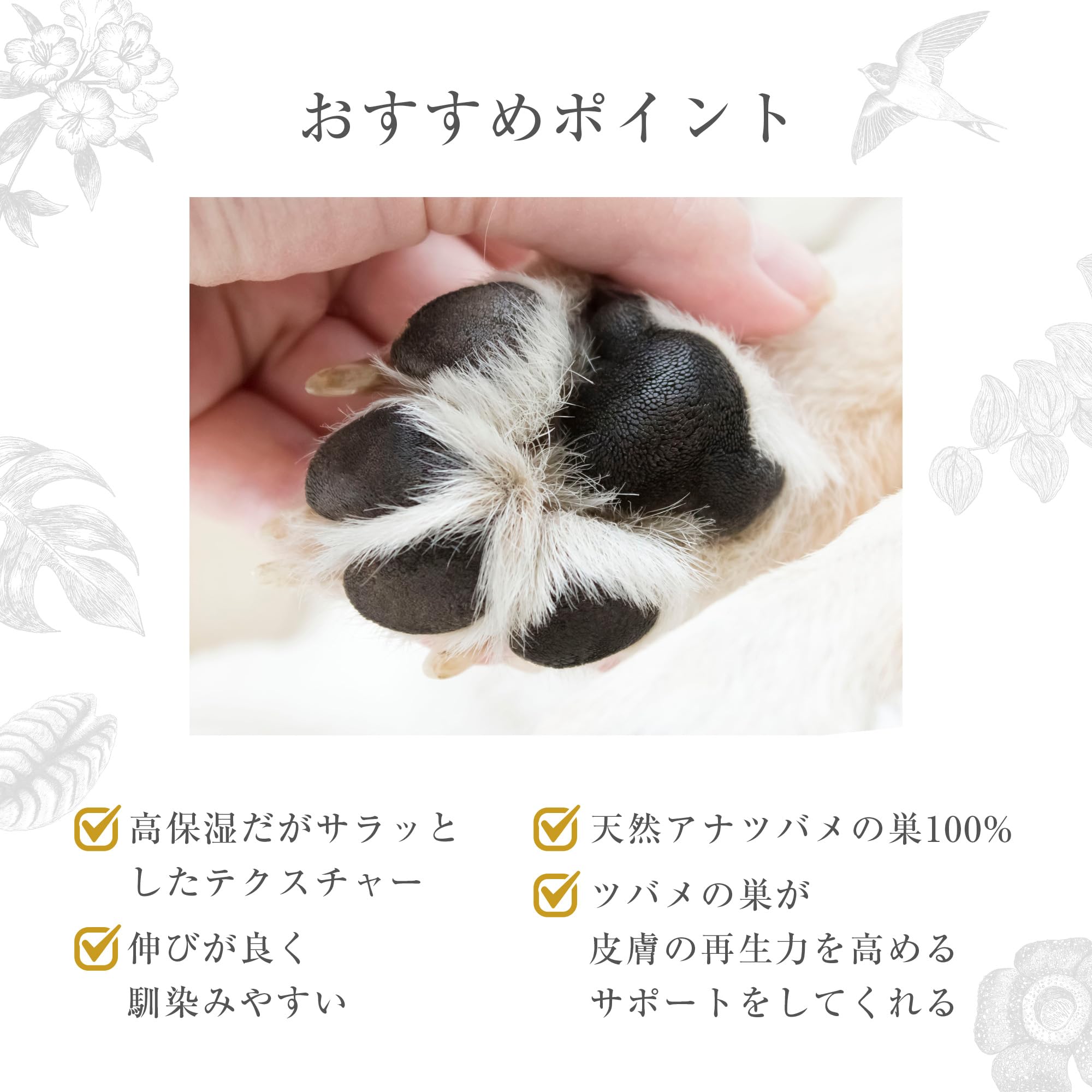Amazon | MIRANEST 肉球クリーム ‐ 犬用 猫用 ペット用 ミラネスト肉球