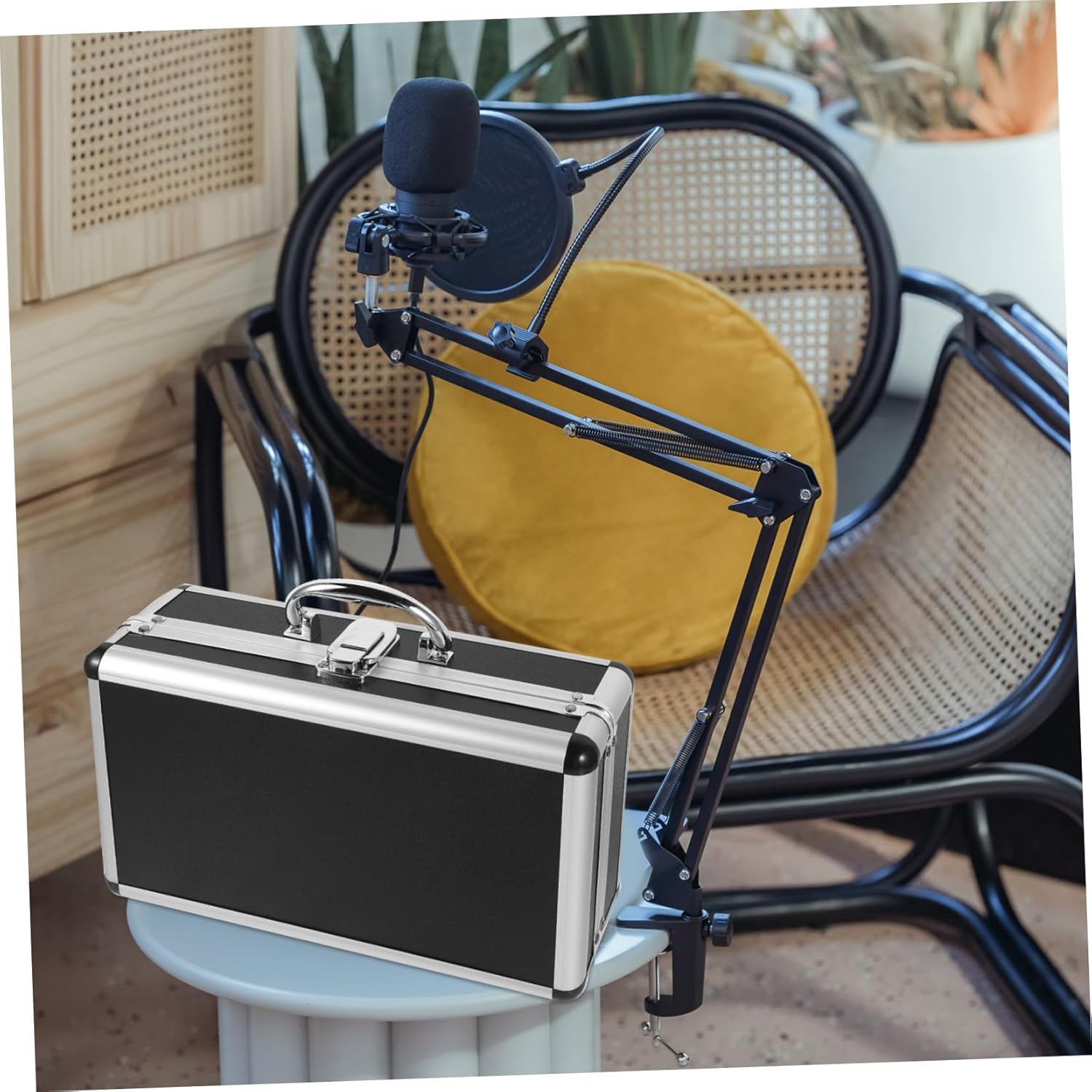 Mic Case Cover Storage Handheld Wireless Mic Holder Portable Carrying Case for Home Studio