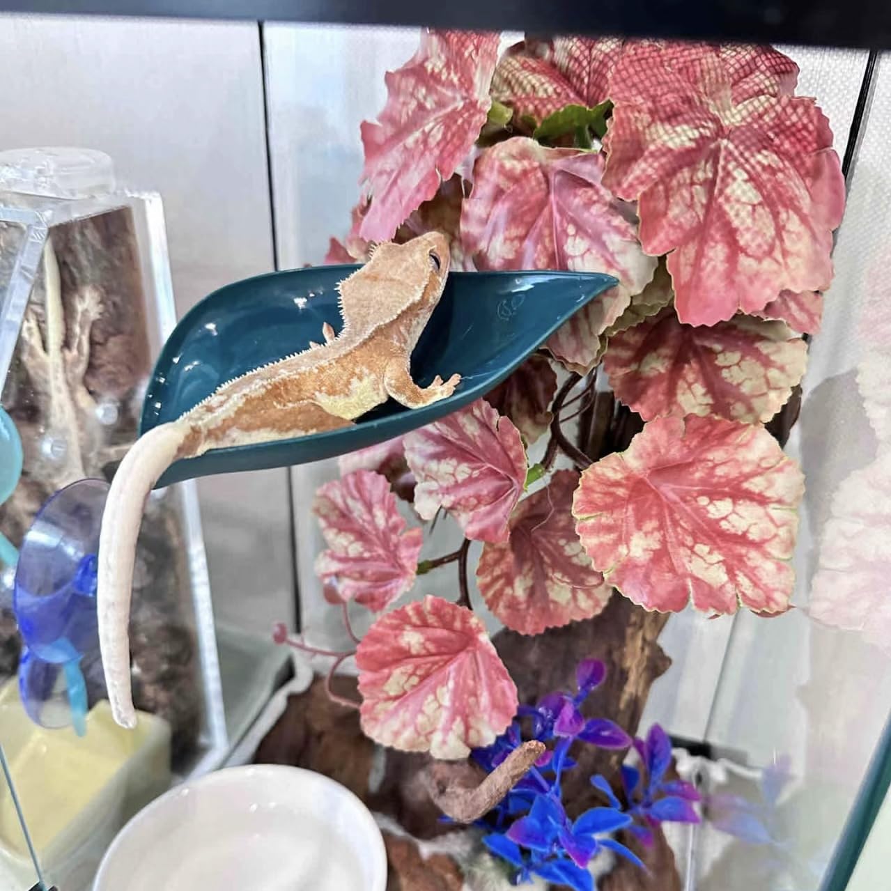 Plantas de reptiles, planta de serpiente, piel de geco, accesorios de tanque de geco de leopardo, hamaca de dragón barbudo, accesorios de tanque de geco, decoración de terrario, piel de