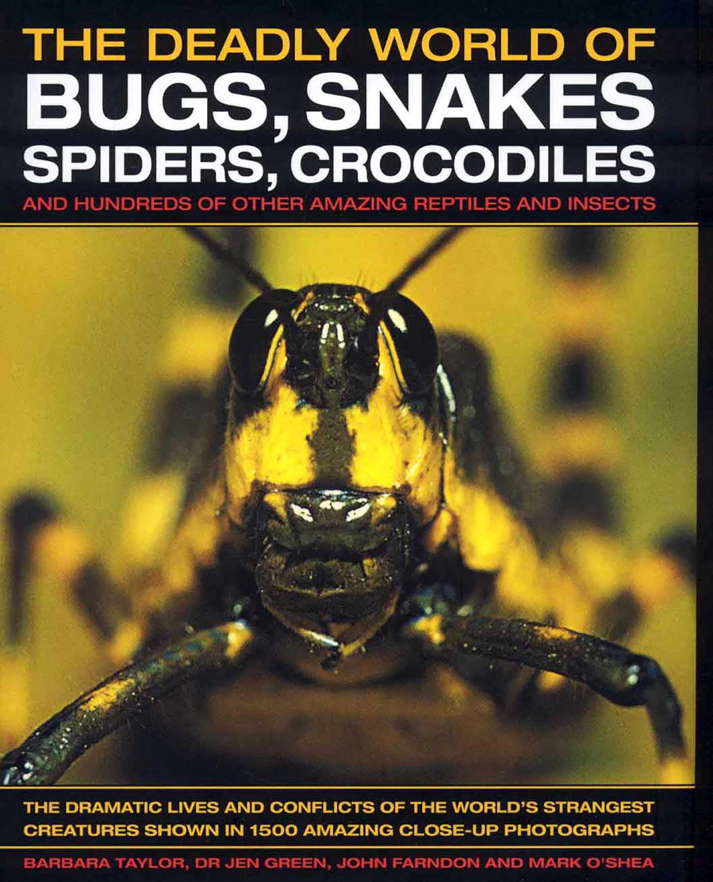 The Deadly World of Bugs, Snakes, Spiders, Crocodiles and Hundreds of Other Amazing Reptiles and Insects: Discover the Amazing World of Reptiles and ... Wildlife Photographs and Illustrations