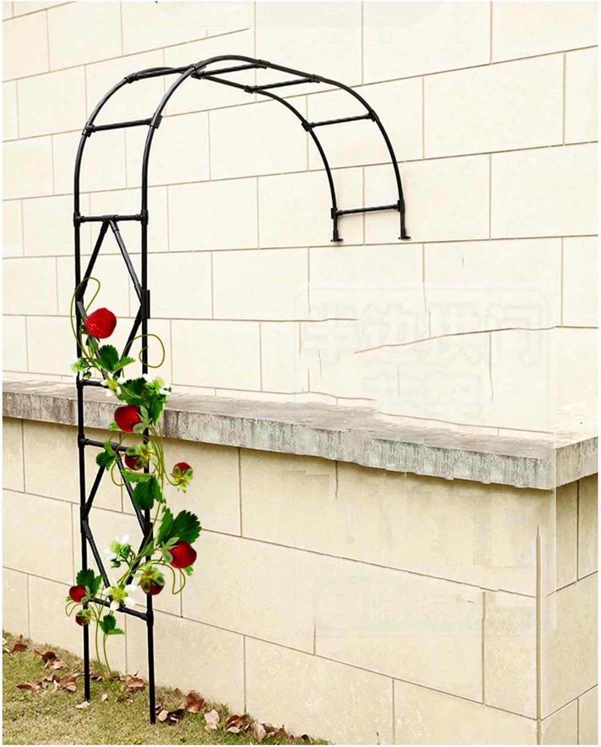 Tonnelle de jardin arche de rose en métal noir, treillis pour plantes grimpantes 1.5m