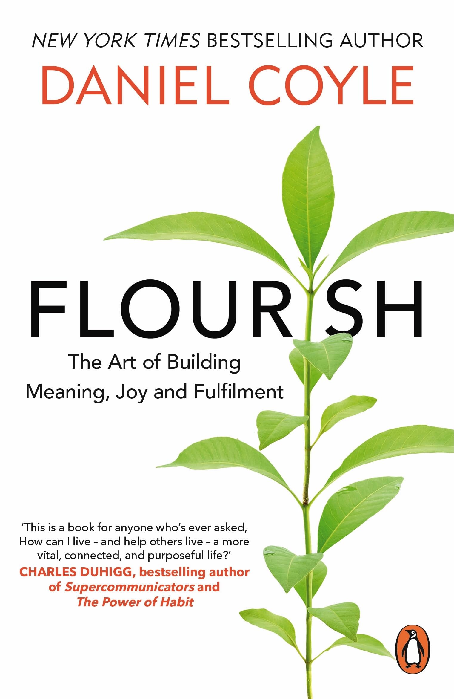 Flourish: The Art of Building Meaning, Joy and Fulfilment