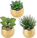 DILATATA Petits suclents artificiels en pots 3 Plantes de faux-succulents réalistes avec des pots en céramique d'or Mignon Mini Faux Plantes Décor pour la maison moderne Bureau Bureau Salle de bains Étagère Décoration