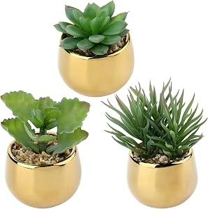 DILATATA Small Artificial Succulents in Pots Set of 3 Realistic Faux Succulents Plants with Gold Ceramic Pots Cute Mini Fake Plants Decor for Modern Home Table Office Desk Bathroom Shelf Decoration