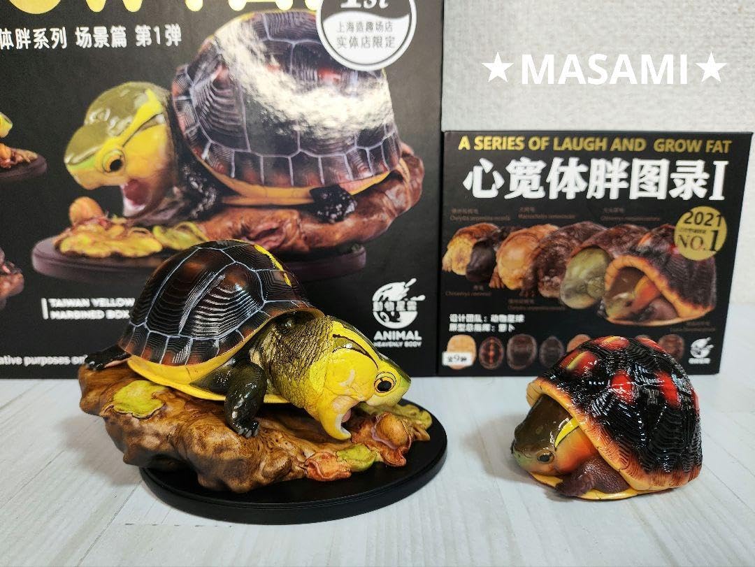 小西平内焼 太閤窯 原田聖龍 朱彩 黒茶碗 共箱 茶碗 茶道具 抹茶碗