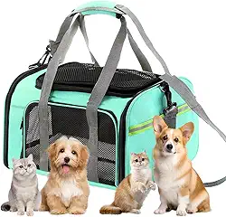 Bolsa Transporte Pet Ventilação em 4 lados Bolsa Transporte Pet Avião Para LATAM Paw Up (Verde)