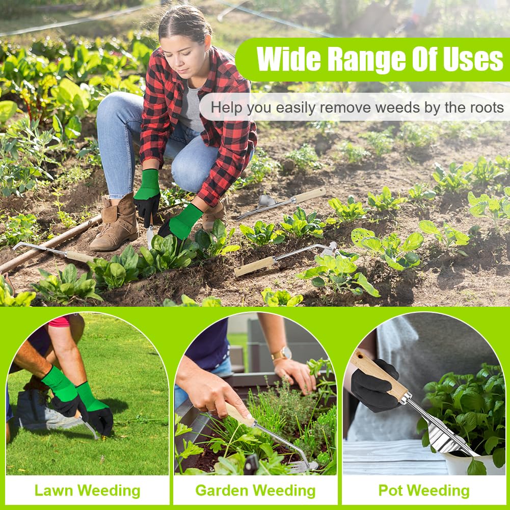 4 Stück Unkraut Entferner Gerät Edelstahl, Gartenarbeit Hand Unkrautstecher, Unkrautstecher mit Gezackter Kante, Unkrautjäter, Unkrautmesser mit Ergonomischer Griff, Entwurzelungswerkzeug