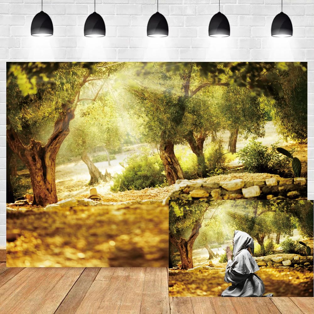 Leyiyi 15x10ft Natural Scenery Backdrop Olive Trees Sunshine Wonderland Dreamy Haze Blurred Background Stone Natural Forest Landscape Video Photo