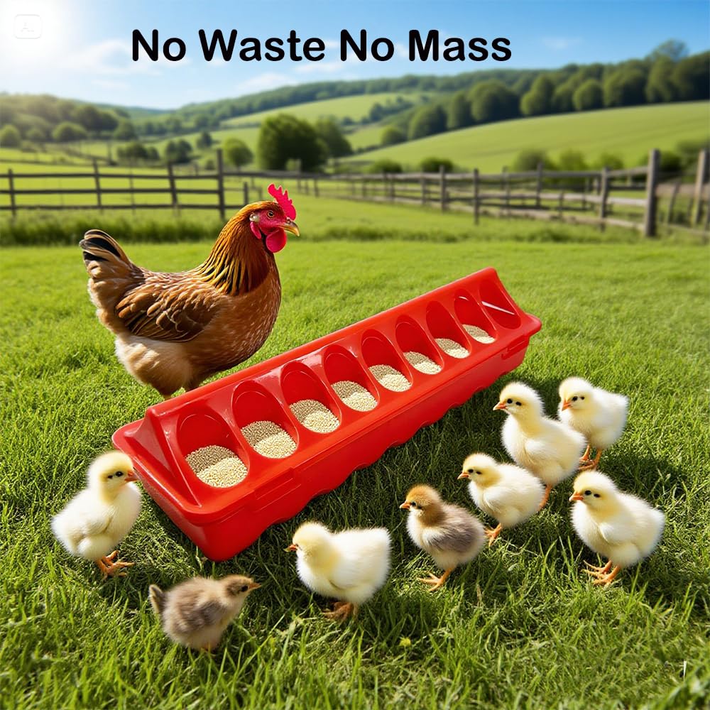 Confezione da 8 mangiatoie in plastica per polli, mangiatoie per polli, mangiatoie per pollame, con foro, strumento per mangiatoia per pollame, uccelli, piccioni, anatre, distributore di cibo per