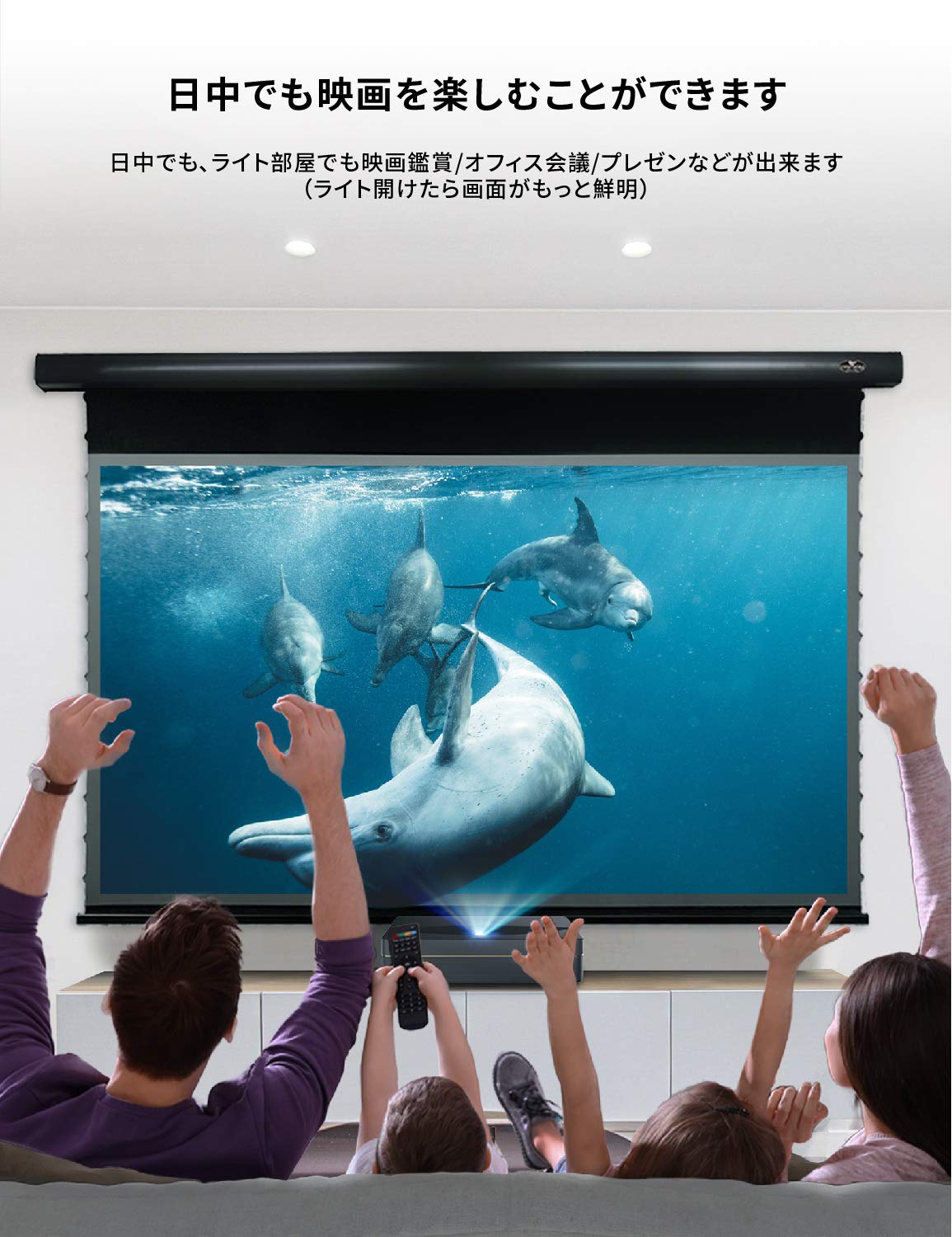 Amazon | スクリーン レザー プロジェクター用 壁掛け VIVIDSTORM
