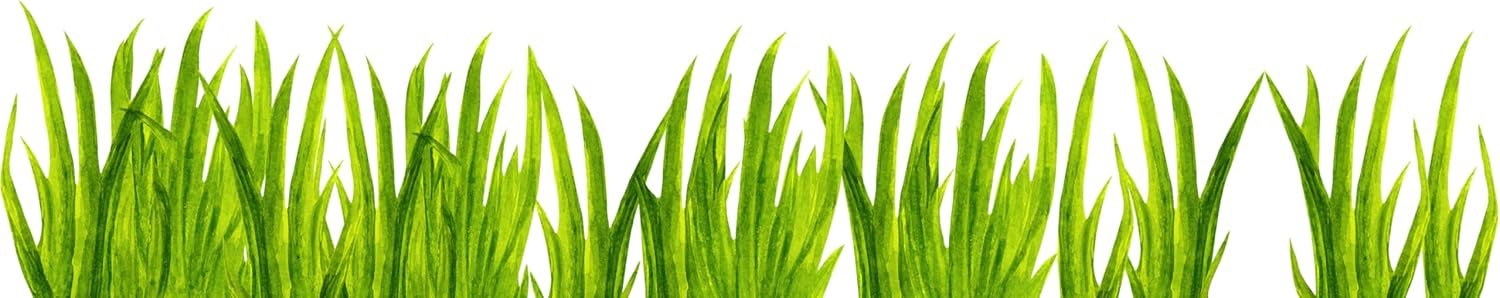 Murwall Kids Wall Decal Watercolor Grass Wall Sticker Nursery Wall Sticker