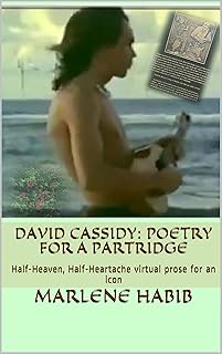 David Cassidy: Poetry for a Partridge: Half-Heaven, Half-Heartache virtual prose for an icon
