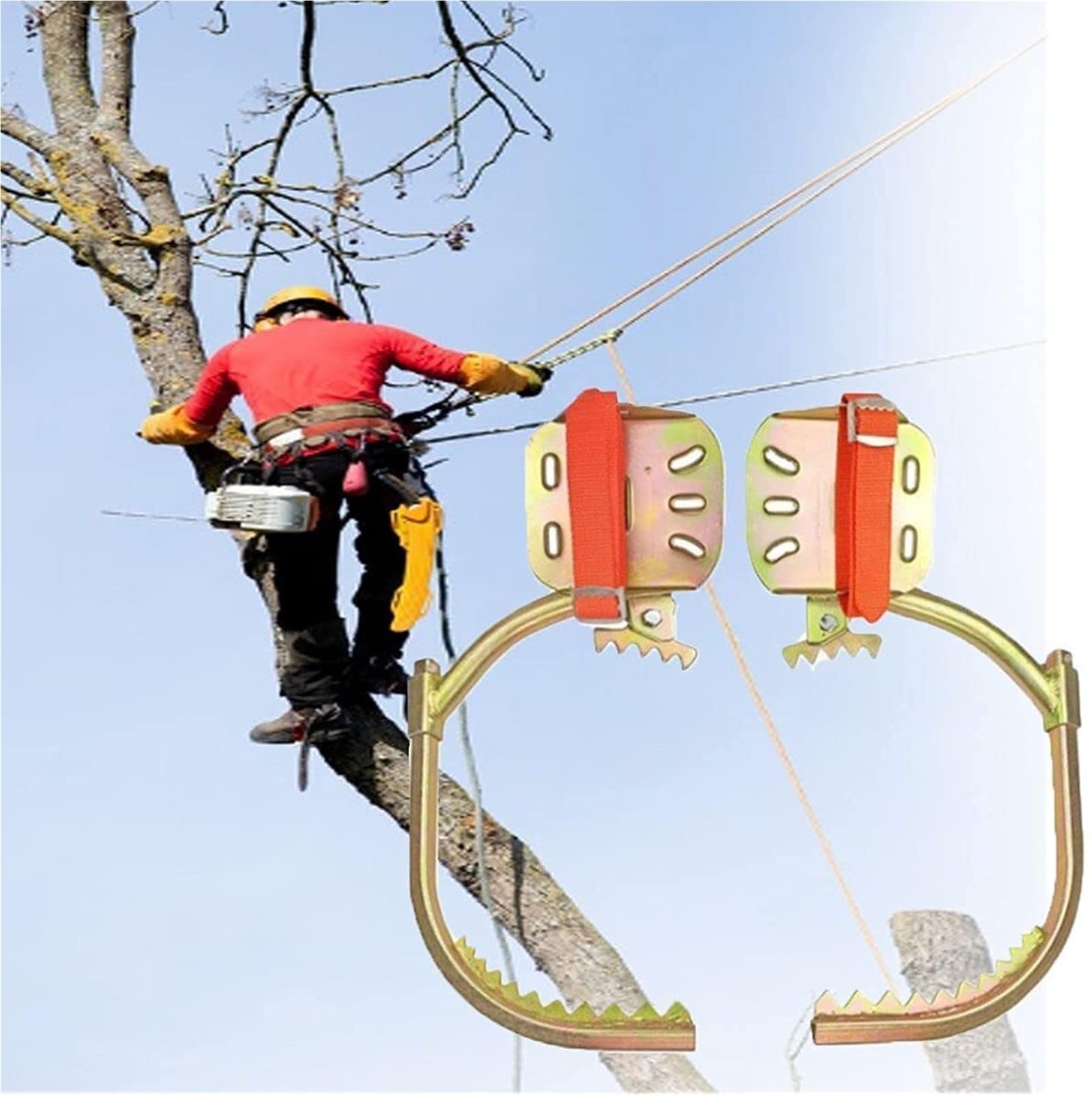 Attrezzo regolabile per arrampicata su alberi con pedali antiscivolo e punte in acciaio inox per avventure all'aperto professionali