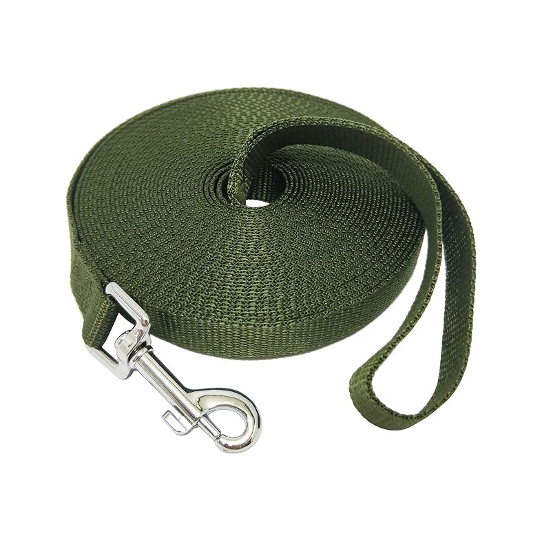Guia de adestramento para cães em nylon com fecho giratório MANDAO, verde, 2,54 cm x 15,24 m