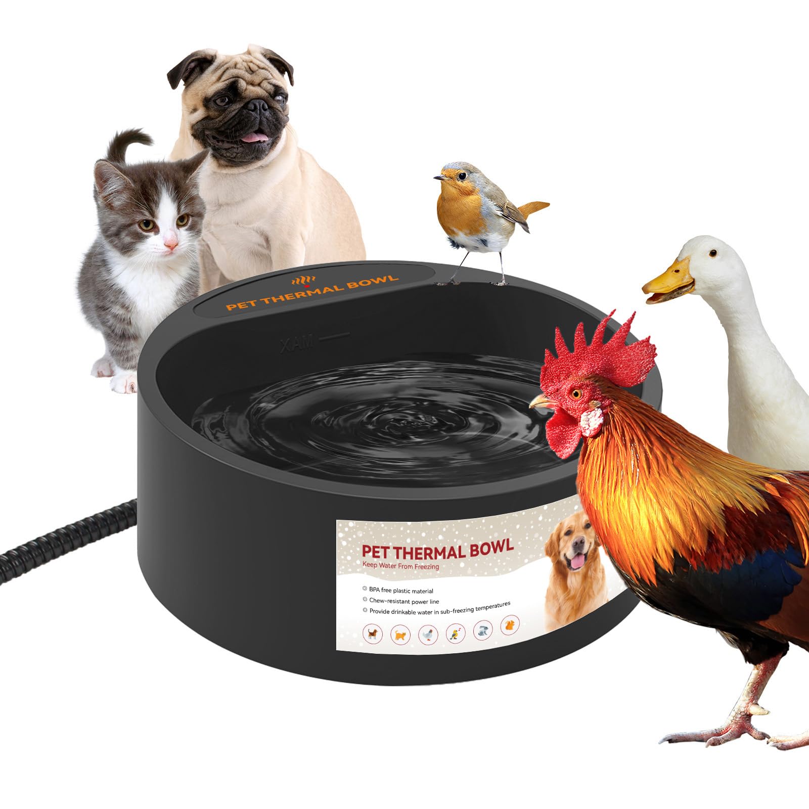Gamelle d'eau chauffante pour chien pour éviter le gel de l'eau dehors