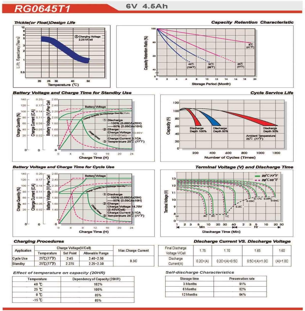 Raion Power RG0645T1 6V 4.5Ah Replacement AGM Battery for Yuntong YT-645-12 Pack