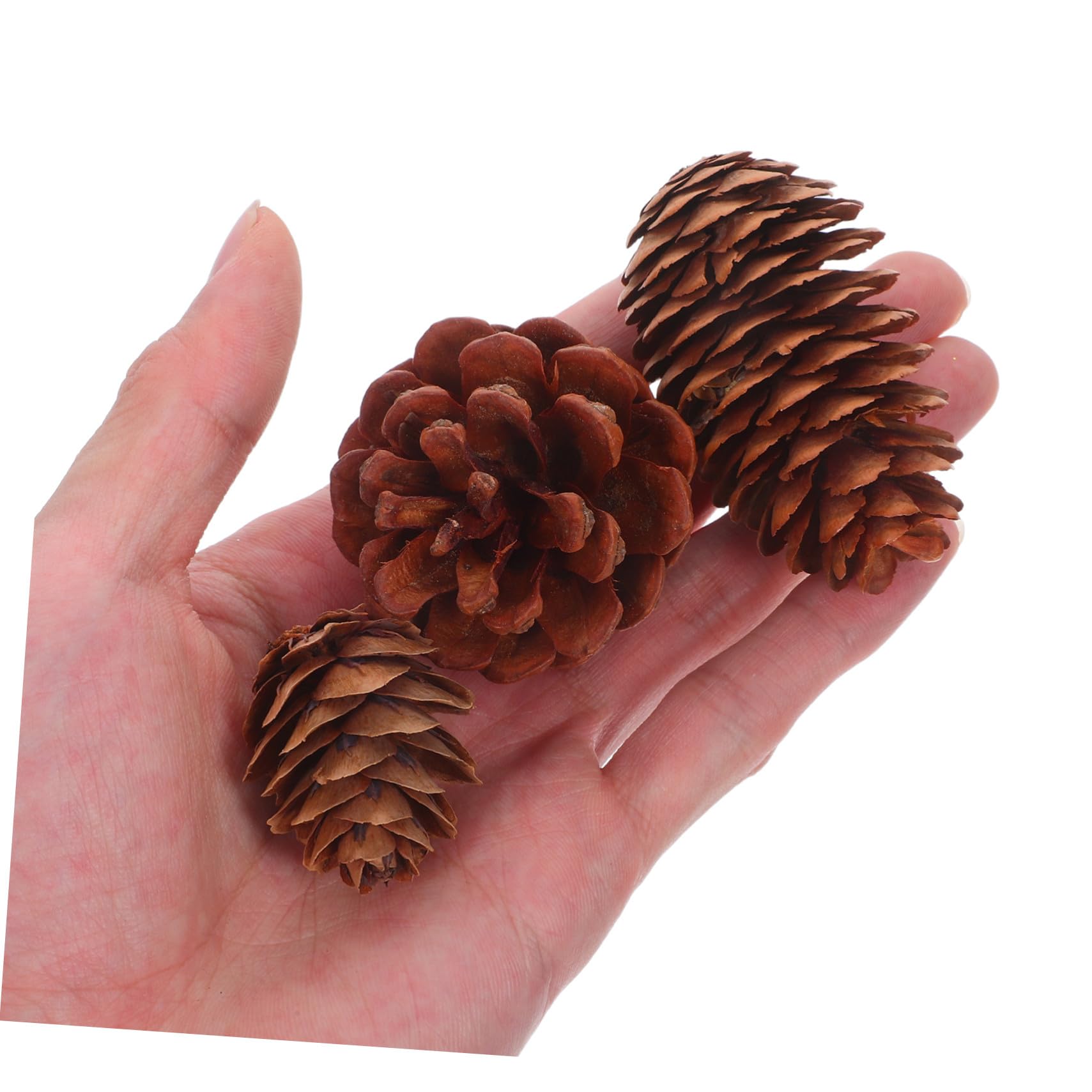120 Piezas De Piñas Pequeñas Rústicas para Manualidades Mini Piñas Secas Accesorios Decorativos Relleno De Jarrón Café