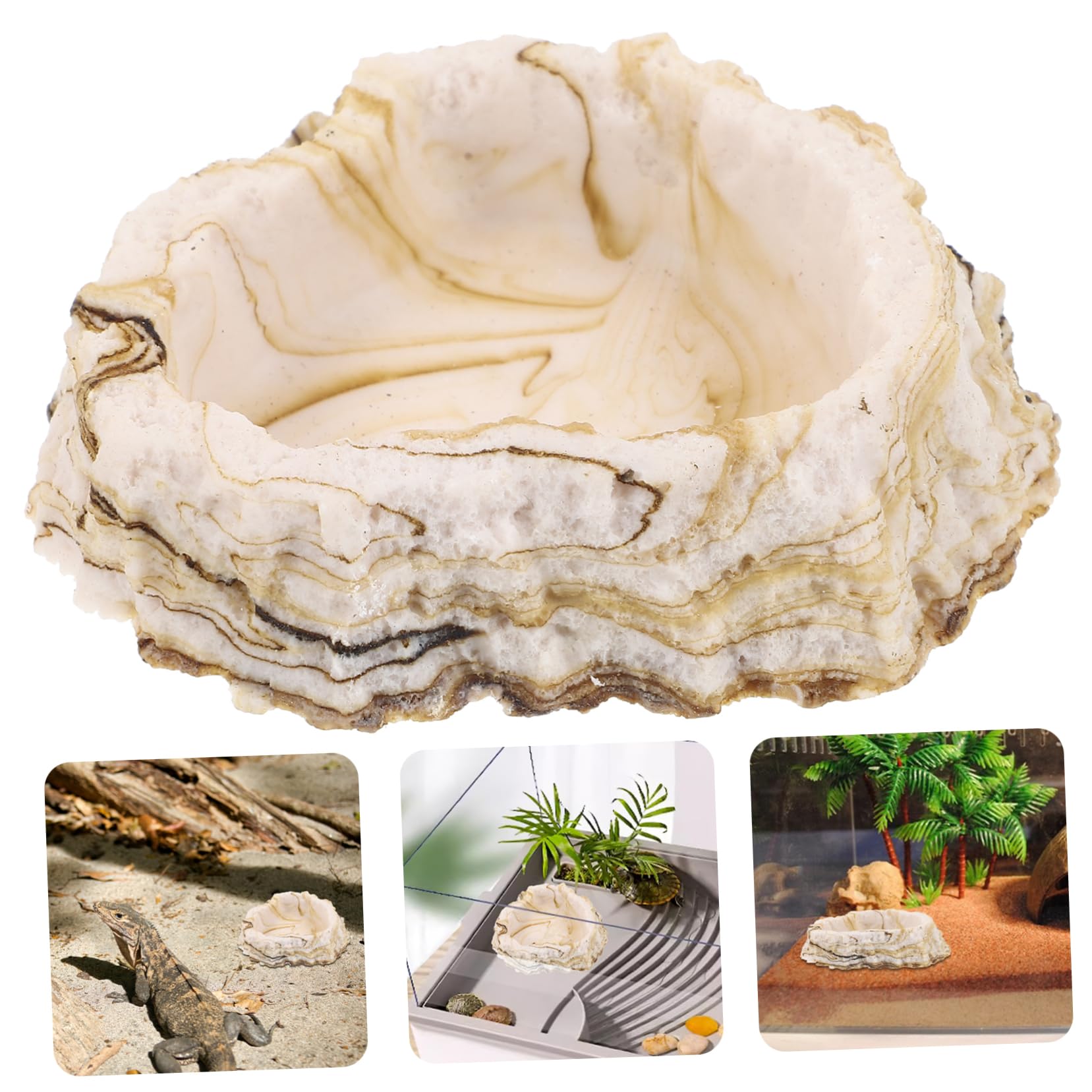 BESPORTBLE 5piezas Tazón De Alimentación para Reptiles De Resina para Terrarios Soporte Duradero para Comida y Agua De Lagartos y Tortugas Diseño Práctico y Ligero