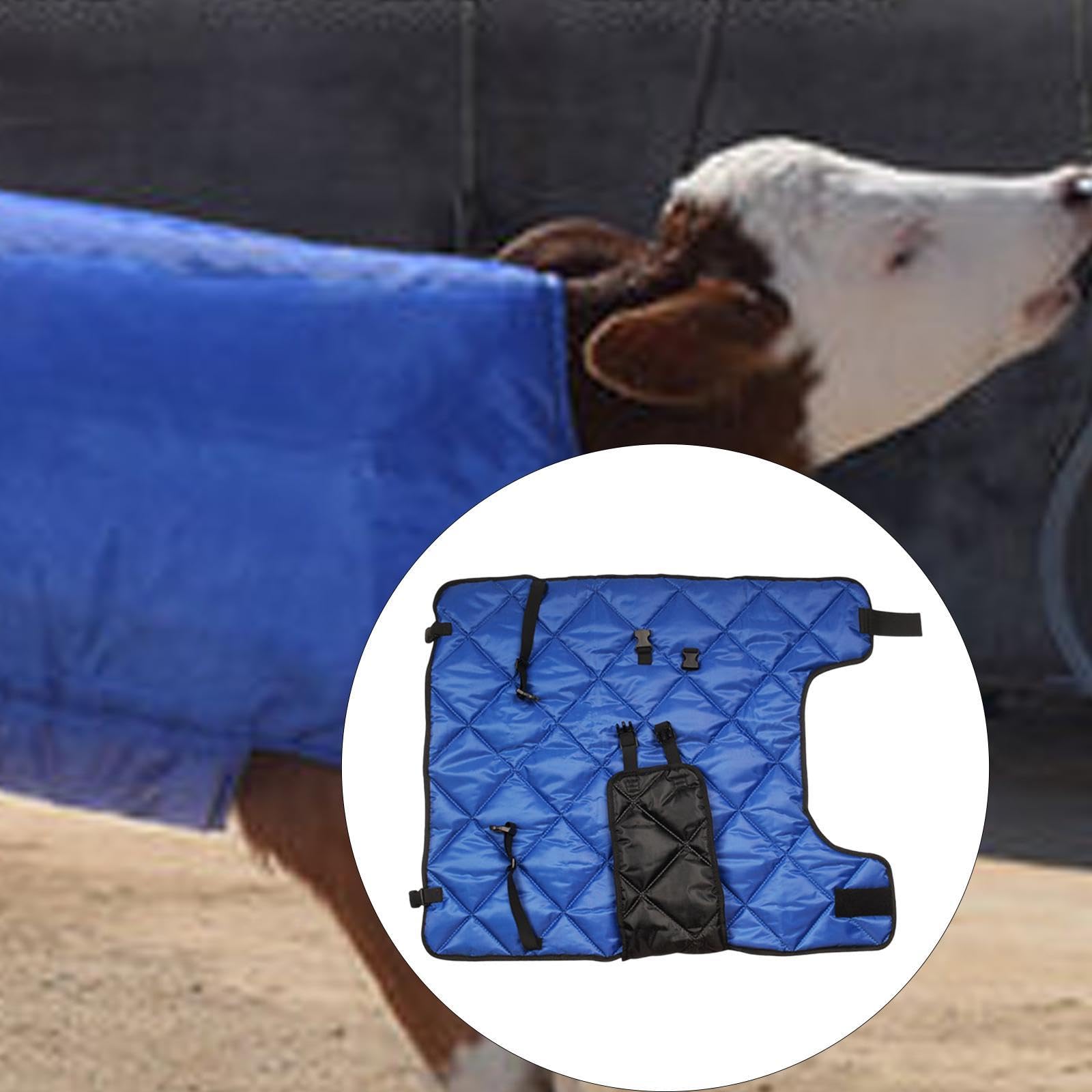 Manta para Terneros, Chaqueta Térmica para Vacas, Chaleco Cortavientos Resistente Al Frío E Impermeable para Terneros.