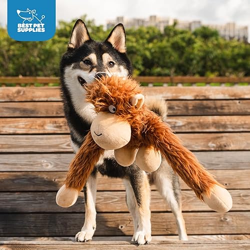 Vista 246 de Best Pet Supplies - Juguetes para cachorros y perros adultos, crujen y hacen chirridos, pollo (azul)