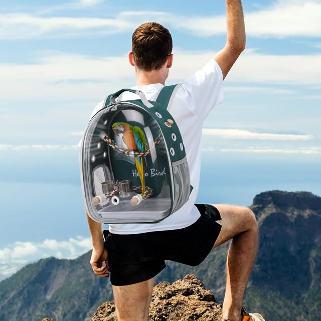 Foto 2 de 7 de PETCUTE Bolsa de Transporte para Pájaros, Transparente, Transpirable