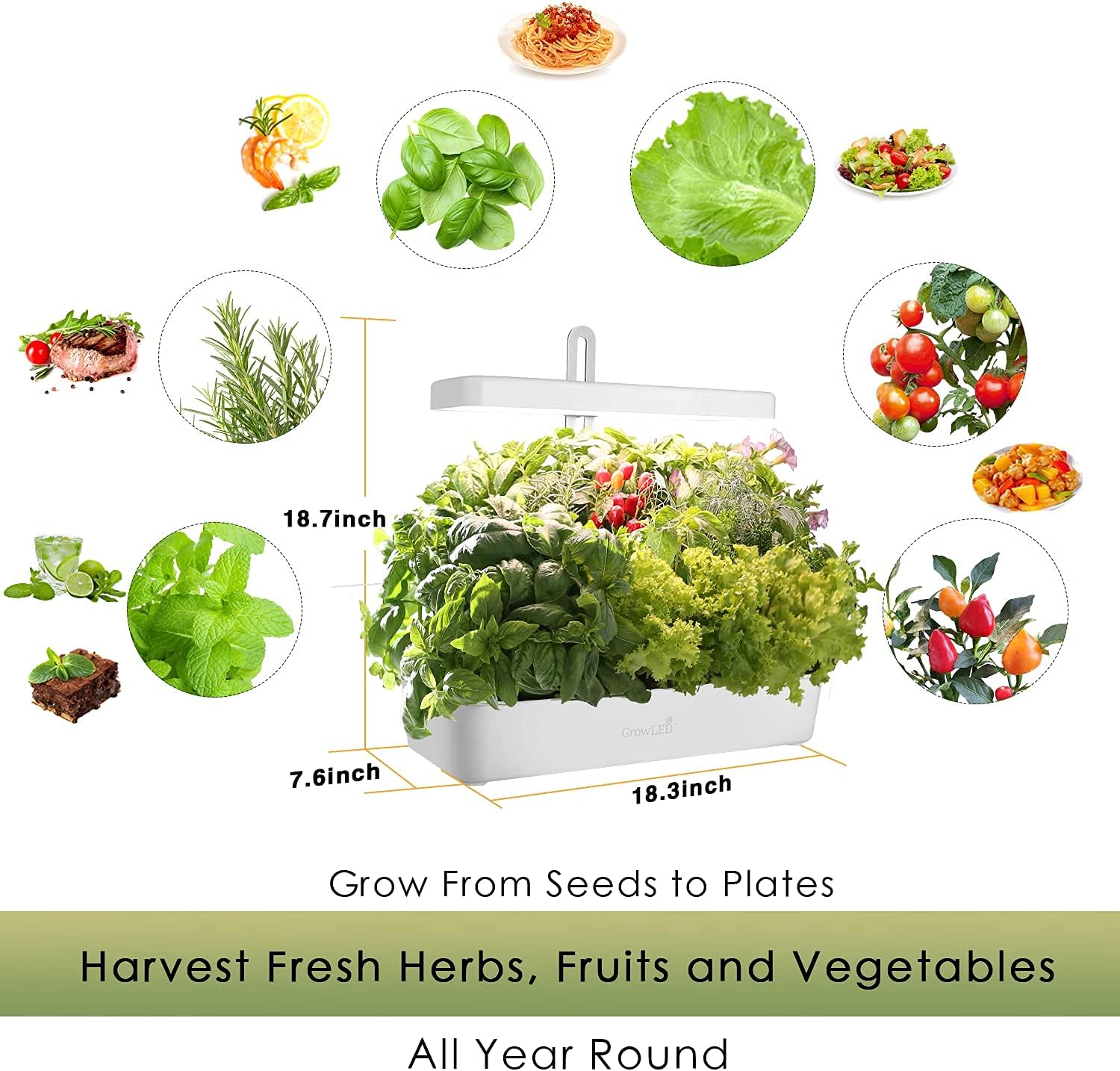 GrowLED 10-Pod Indoor Garden Germination Kit, Hydroponic Growing System, Food Grade Material Indoor Herb Garden, Nutrients Pre-Set Smart Soils Included, Automatic Timer, Height Adjustable (No Seeds)
