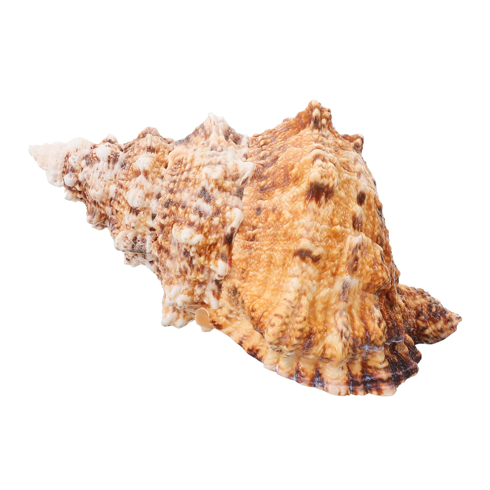 TOPBATHY 3St Eimer mit Muschelblumengesteck Vase Blumentöpfe Pflanztöpfe Blumentopf natürlicher Muschel-Pflanztopf Muscheln zur Dekoration Naturstein Eimer für Blumenarrangements Ornamente