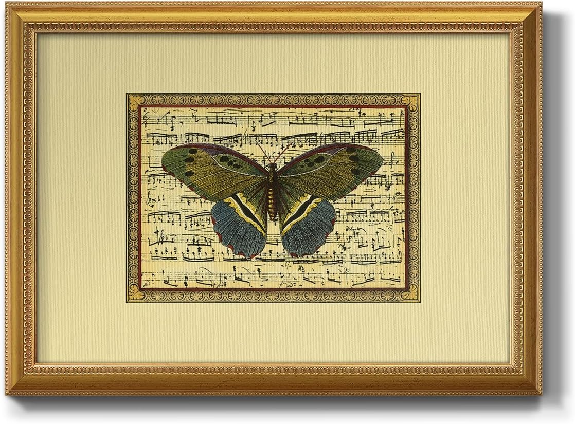 Amazon.com: Renditions Gallery Animal Wall Art Colorful Butterfly on ...
