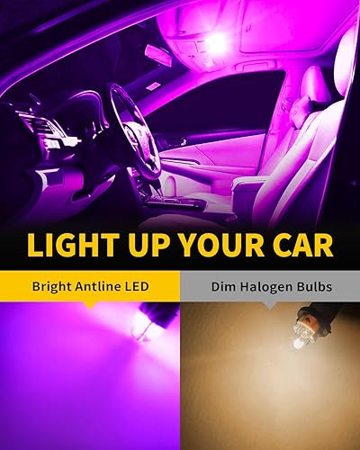 Miniatura 3 de BA9S BA9 1895 1891 53 57 47830 64111 3893 Bombilla LED morado, superbrillante Canbus libre de errores, 12 voltios de repuesto para lámpara interior