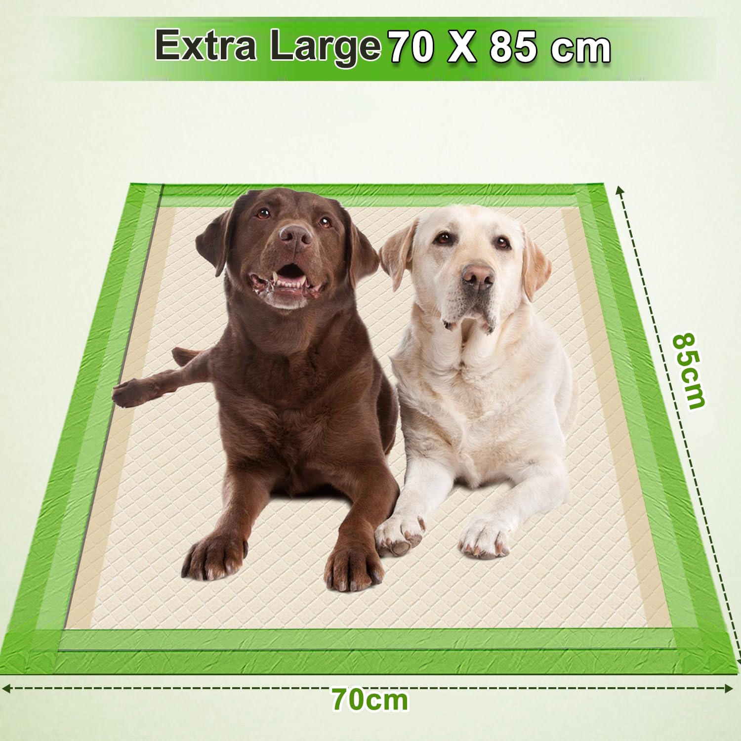 Gardner Pet Extra Grande Traversine Cani 70x85 cm, Super Assorbente Tappetini Cane, Asciugatura Rapida Tappetini Igienici per Cani, A prova di Perdite, Verde (100 Pezzi)