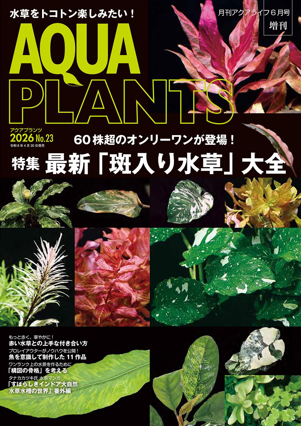 AQUA PLANTS (アクアプランツ) 2026 No.23 [雑誌] | アクアプランツ
