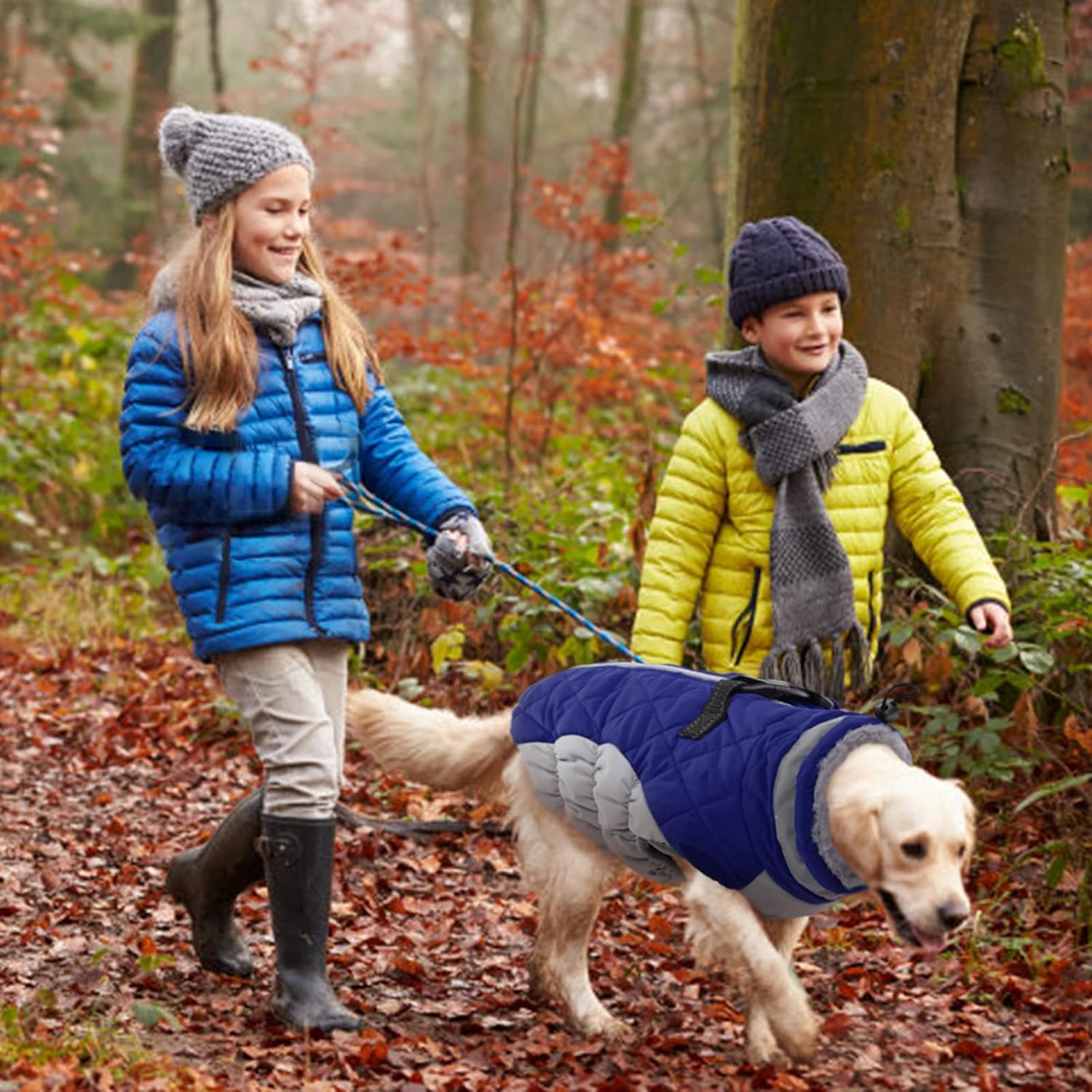 FUAMEY Padded Vest Dog Jacket - Reflective Dog Winter Coat Windproof Warm Winter Dog Jacket Comfortable Dog Apparel for Cold Weather - Warm Zip Up Dog Snowproof Vest for Small Medium and Large Dogs : Pet Supplies