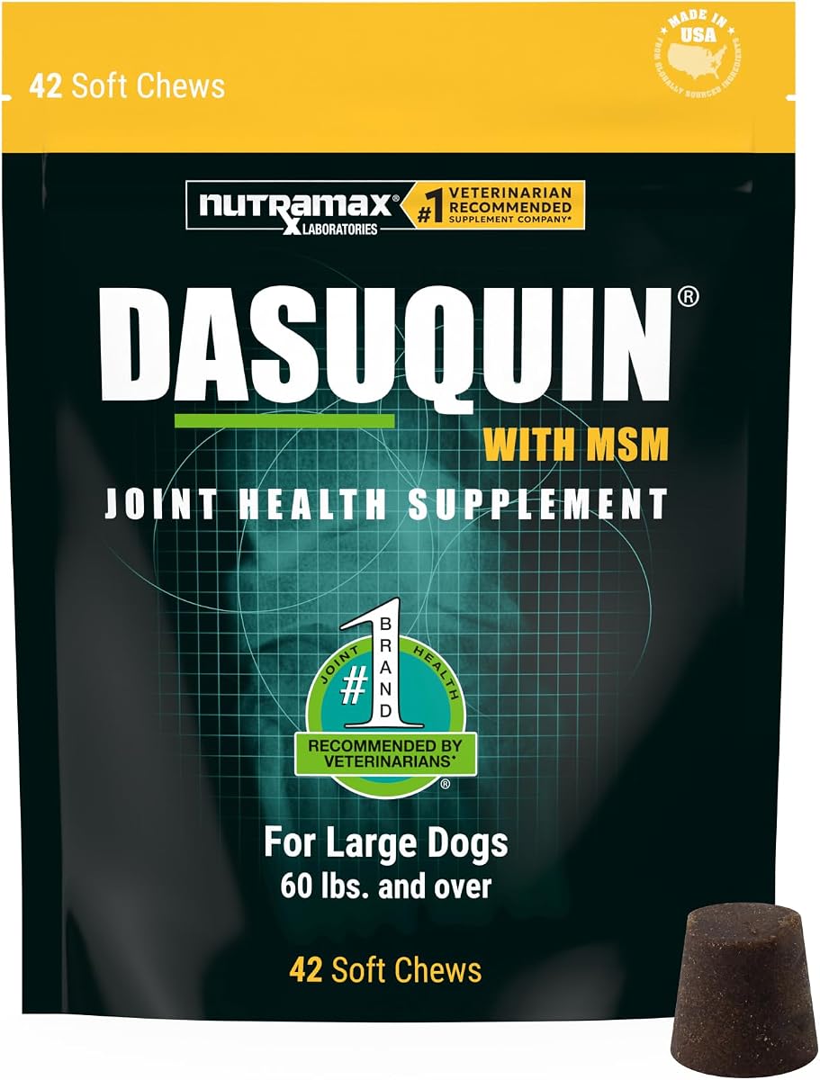 Nutramax Dasuquin MSM Suplemento para articulaciones para perros grandes, masticables suaves, 42 ct | Glucosamina y condroitina, con ASU y MSM, suplemento para la salud de las articulaciones para perros de más de 60 libras, masticables suaves, todas las edades