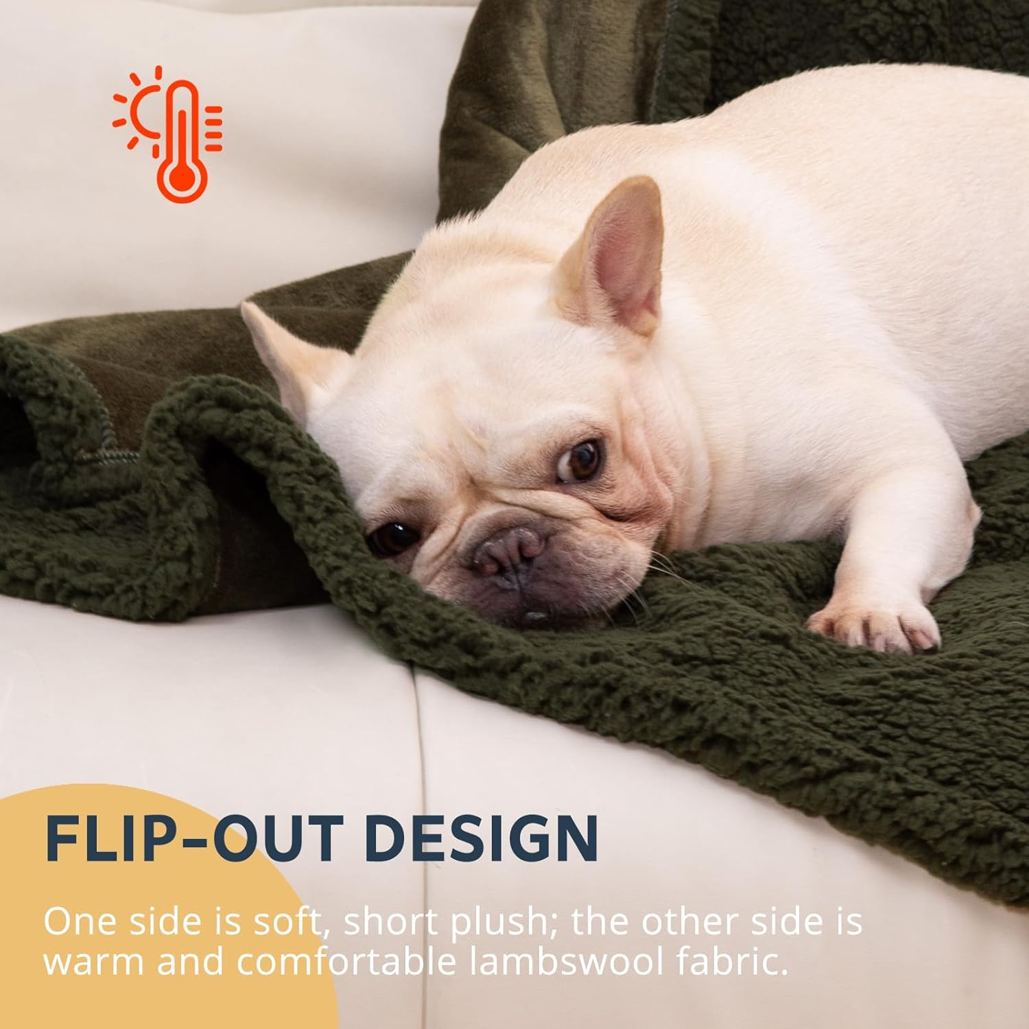 Waterproof Dog Blanket 60x80 Inches for Large Dogs, XL Leakproof Reversible Pet Blanket, Washable Furniture Cover Protector for Sofa, Couch, Fleece Cat Throw Bed Crate Kennel, Green