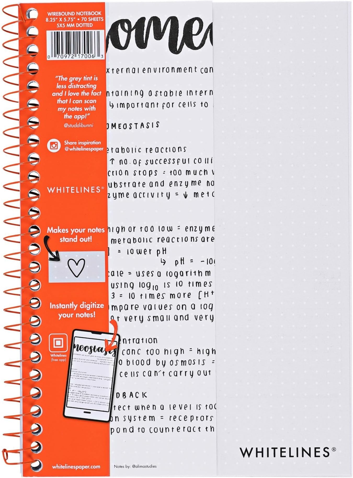 Dot Ruled Journal Notebook