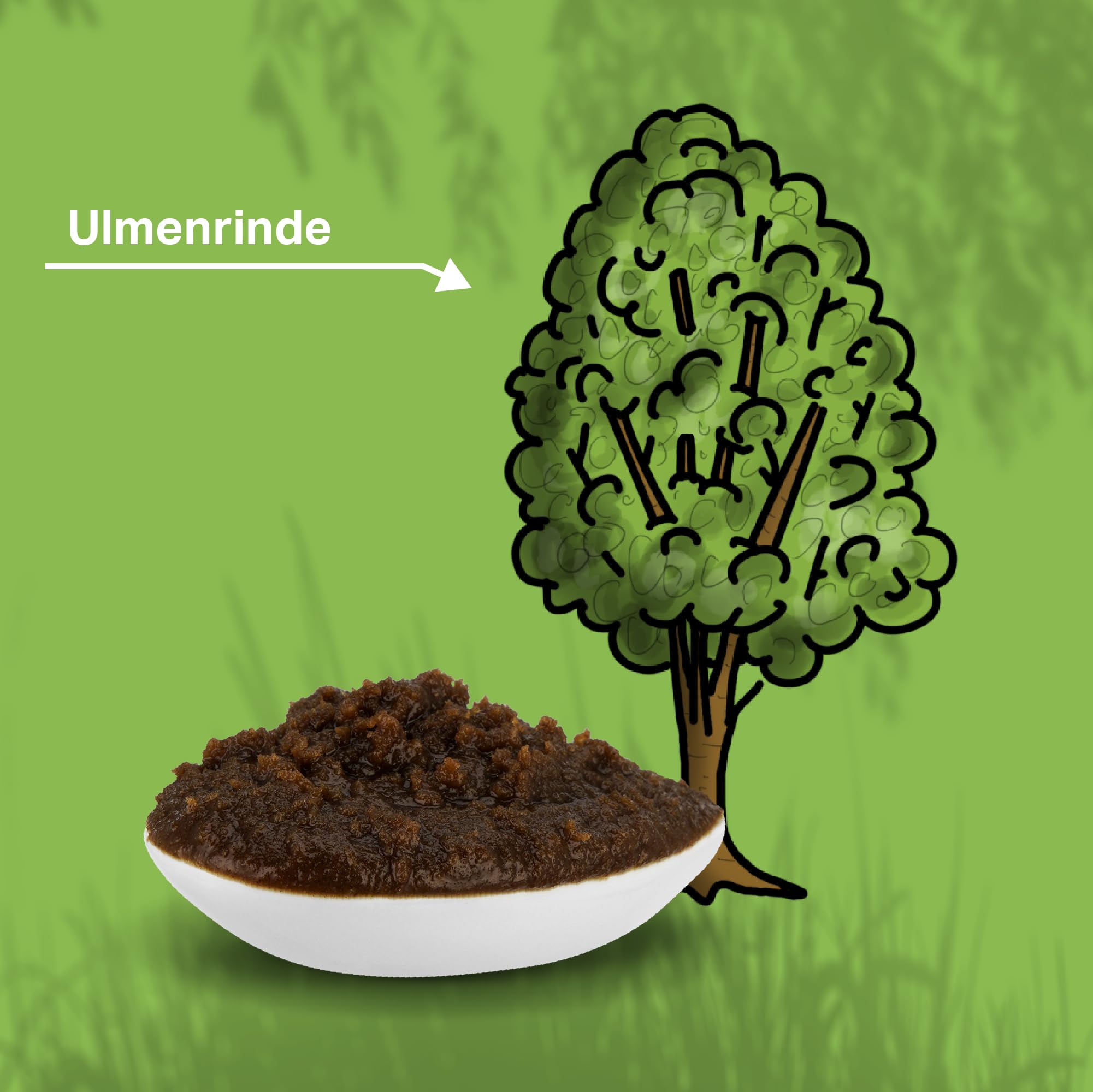 MEDIDOG 500g Premium Ulmenrinden-Paste für Hunde sofort verzehrfertig mit Slippery Elm Bark | unterstützt eine gesunde Verdauung & Normale Kotkonsistenz