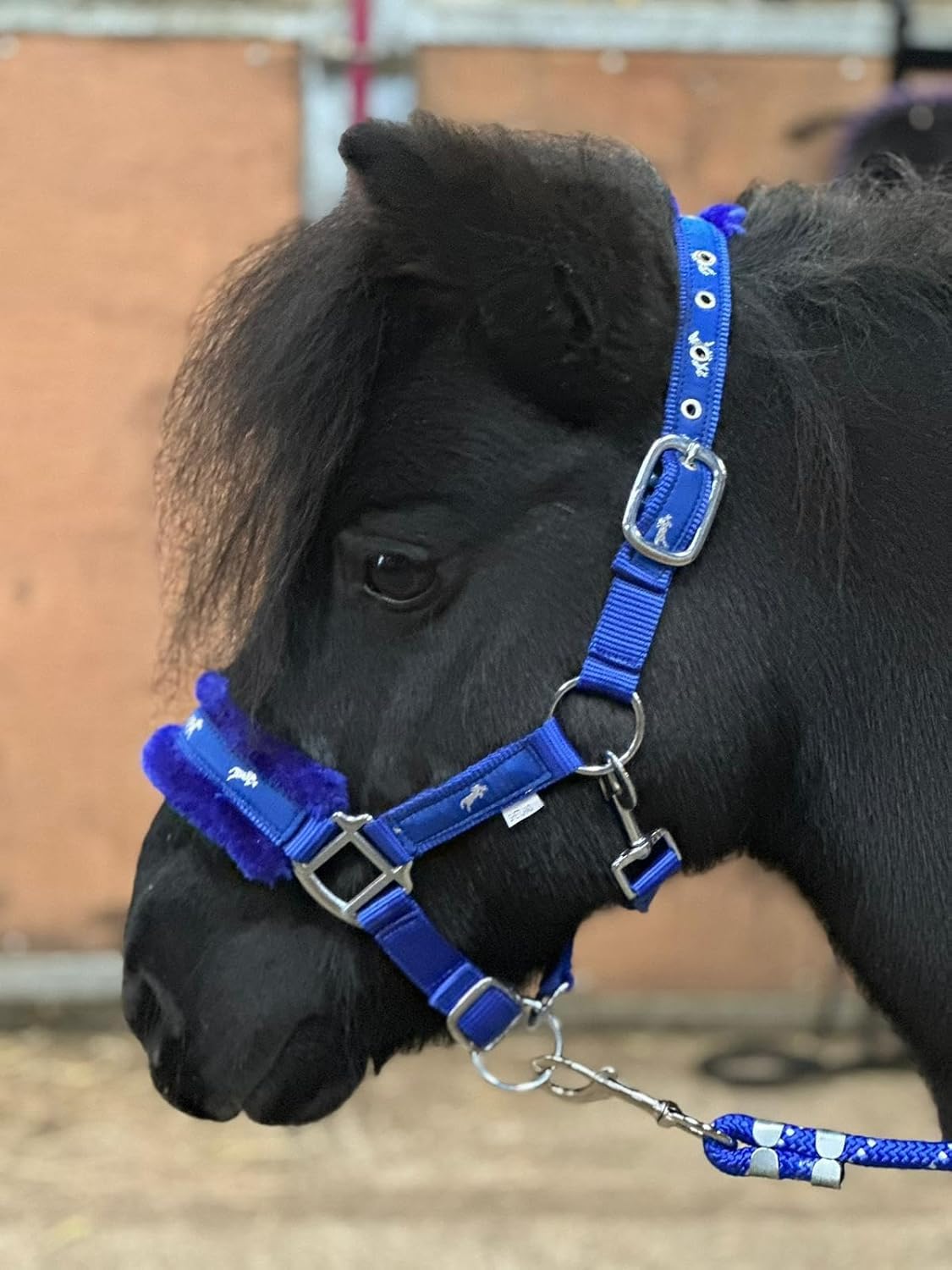 Equipride Horse Print Fur Padded Nylon Headcollars with Lead Rope Royal Blue (Cob.)