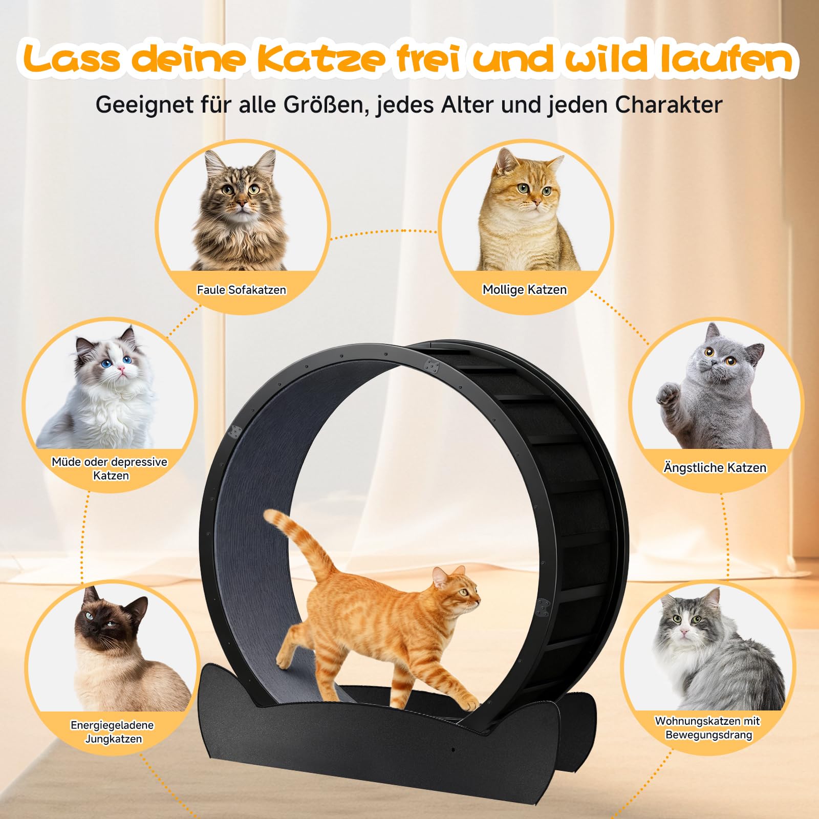 GTPLAYER Katzenlaufrad, laufrad Katze, Extra großer 100 cm, ultraleises Laufrad mit Abnehmbarer Teppich und Spielzeug, Aufkleber, Verriegelung, geeignet für die meisten Katzen, Metall, Schwarzen Ohren