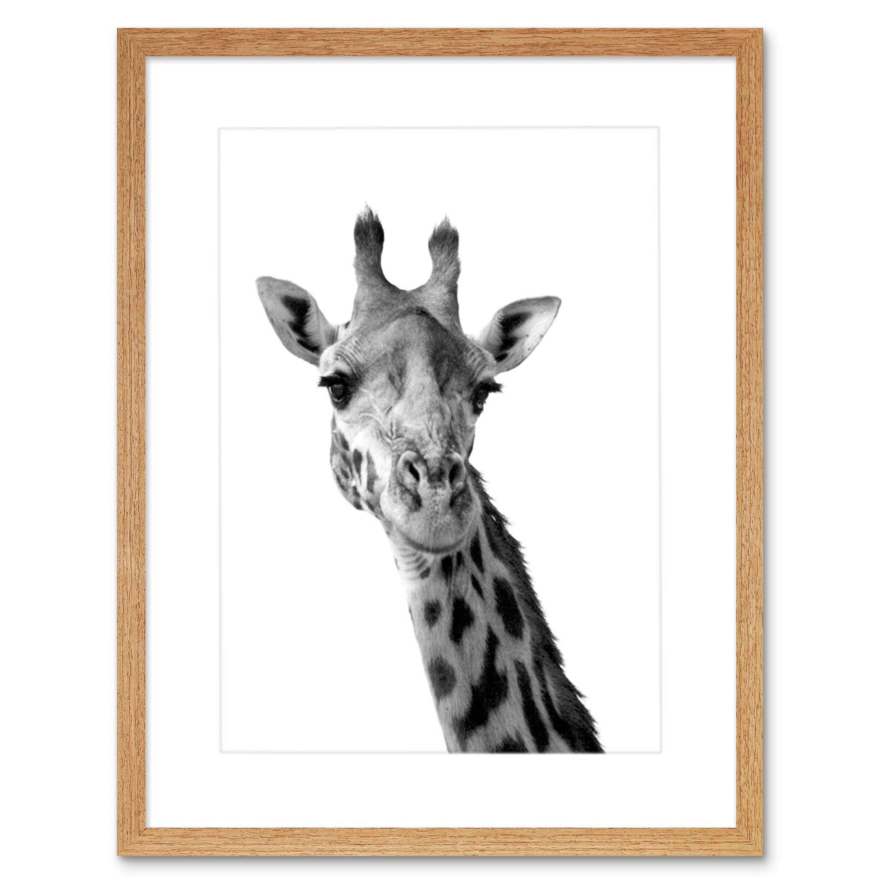 Wee Blue Coo Photo Black White Giraffe Portrait Face Framed Wall Art Print