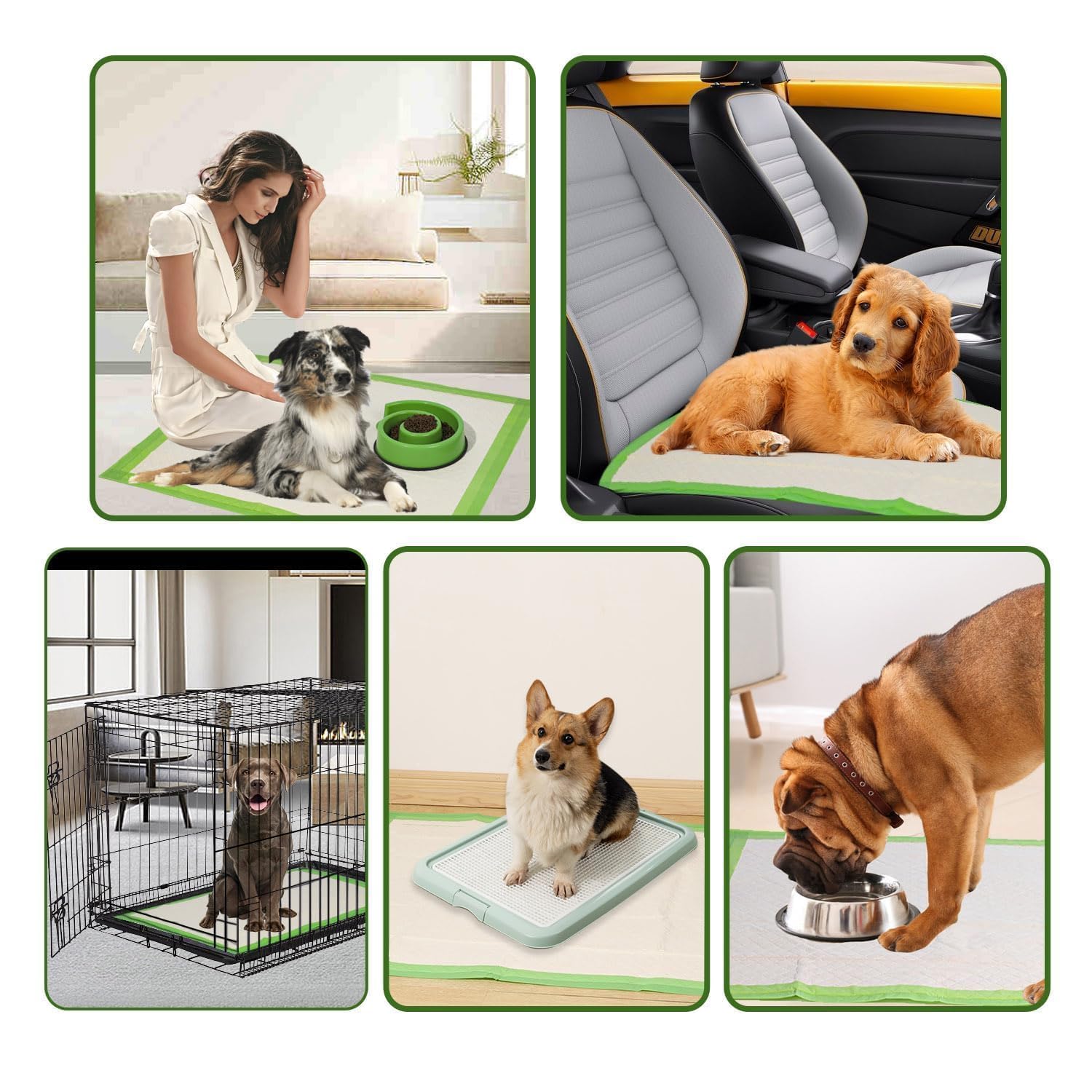 Gardner Pet Empapadores Perros Grandes 70x85 cm, Súper Absorbentes, Prueba de Fugas, Secado Rápido, Pipican para Perros en Casa, 30 Piezas