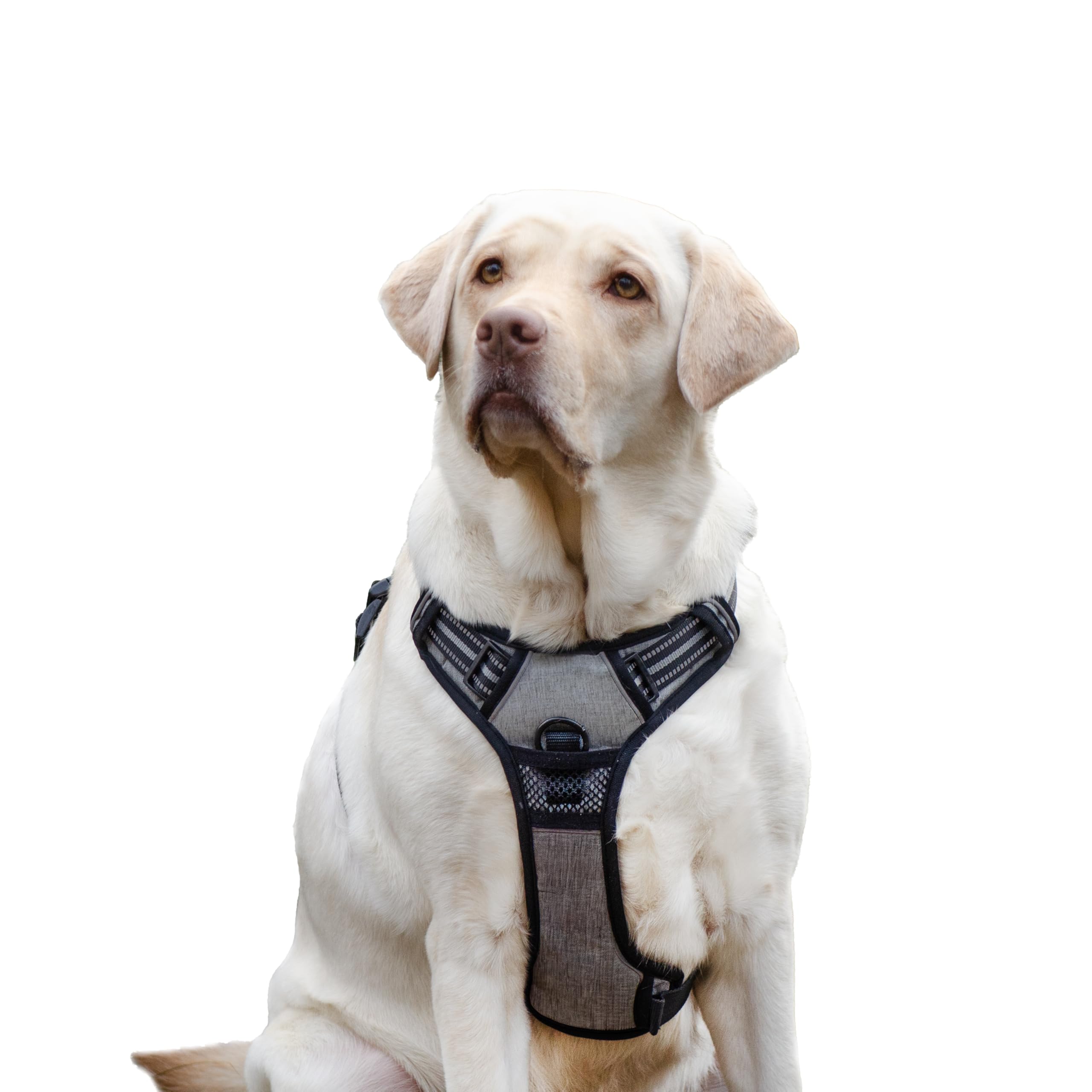 Ferplast Pettorina Cane Taglia Grande, 2 Ganci per Massimo Controllo, Anti Tiro, Pettorina Cane Regolabile, Riflettente, Traspirante, Imbracatura Cani ideale per Addestramento L, Grigia